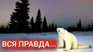 МЕДВЕДЬ ИЗ 2026 - ВЕРНУЛСЯ. ВСЯ ПРАВДА ПРО МЕМ