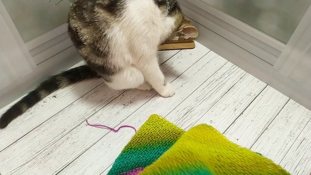 Образец из Stylish Alpaca 06 января 2026 г. смотреть онлайн