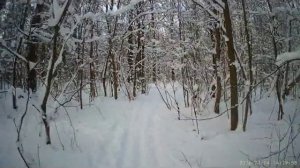 2-й лыжный поход. Тимирязевский парк. Зима 25-26 гг.