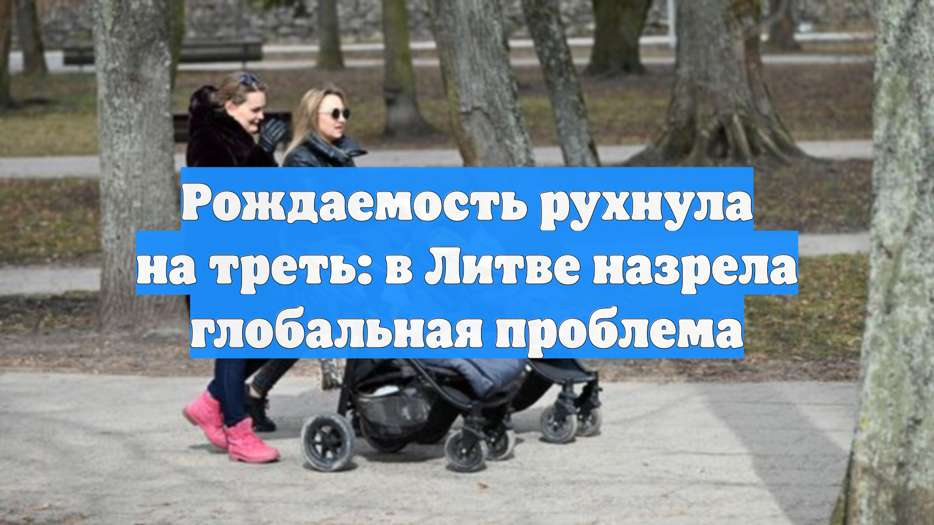 Рождаемость в Литве рухнула: экономисты предупредили о глобальной проблеме смотреть онлайн
