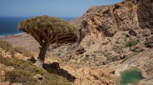 Посольство РФ в Йемене ищет способы вывоза россиян с острова Сокотра