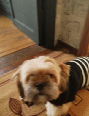 Пробуем конфетки🍕❤️