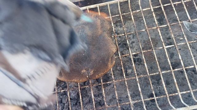 НОВОГОДНЯЯ ВИКТОРИНА !!!!
УГАДАЙ ДЕЛИКАТЕС ))) смотреть онлайн