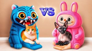 Как живет богатая и бедная кошка.