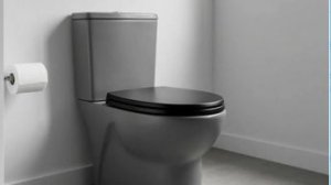 УДАЛИТЬ (Снять, демонтировать ) унитаз.