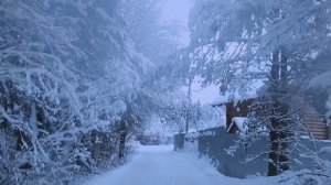 Новое!  2 января 2026. Встречаем гостей, отмечаем новый год! Болталочка вечерняя!