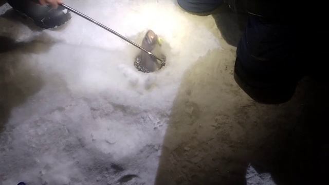 video_2026-01-04_23-01-07 смотреть онлайн