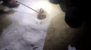 video_2026-01-04_23-01-07