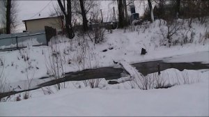 Купание в новом году