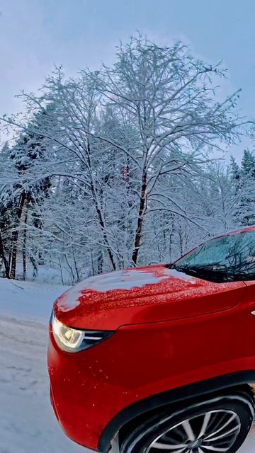 Красота смотреть онлайн