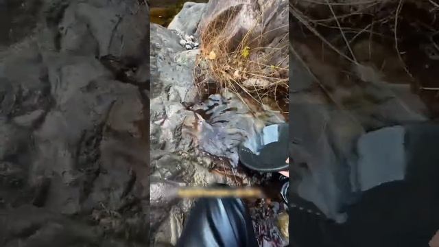 Поиск золота на горном ручье тропиков!!! смотреть онлайн
