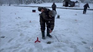 Поимки Форели.Основной водоём