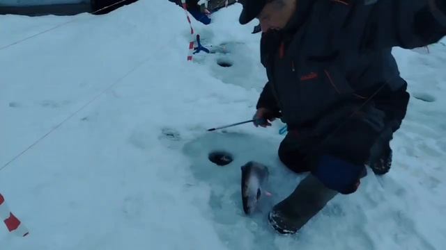 04.01.26 г. РК Волна. смотреть онлайн