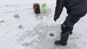 VID_20260104_101005_560