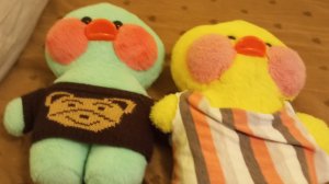 влог с уточками lalafanfan сборка вищей в дорогу возвращаемся домой