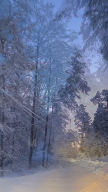 ЗИМНЯЯ ПРИРОДА смотреть онлайн