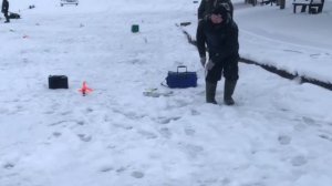 утренние поимки форели