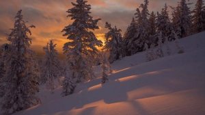 🎼. «Цените каждое мгновение» - Эдгар Туниянц ❄️🎄