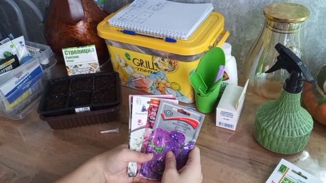 04-01-2026 смотреть онлайн