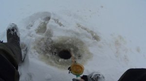 Озеро Большое Кириловское. Рыбалка 4.1.26.