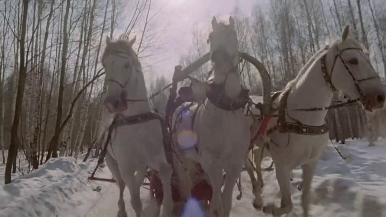 ТРИ БЕЛЫХ КОНЯ смотреть онлайн