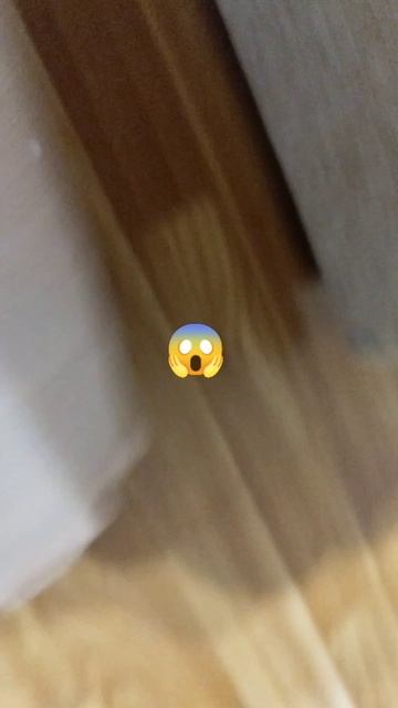 Поезд БЕЗ РЕЛЬСОВ?! смотреть онлайн