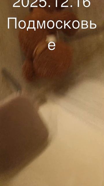 Трагедия в Подмосковье