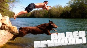 ВИДЕОПРИКОЛЫ \ КРУТЫЕ ПРИКОЛЫ 2025 \ НОВЫЕ ПРИКОЛЫ \ СМЕШНЫЕ ПРИКОЛЫ 2025 ЮМОР