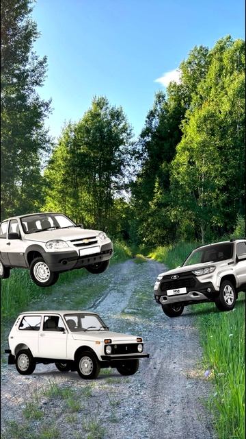 нивы смотреть онлайн