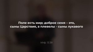 Семя змея и семя жены _ ПРОПОВЕДЬ _ Юрий Стогниенко