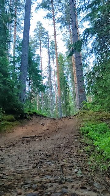 Мама, я эндурист! смотреть онлайн