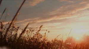 Струминский Маркиян. Ещё...