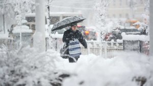 Снежный шторм вызвал транспортный коллапс в Воронеже