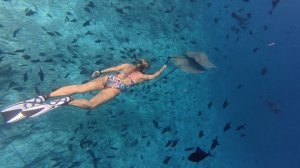 МАЛЬДИВЫ 2025 MALDIVES 2025