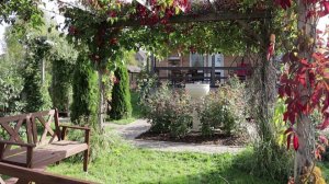 Осень в подмосковном саду