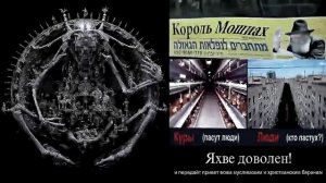 Сергей Салль. Кто и как захватил планету Земля