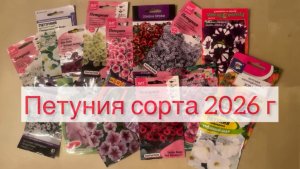 Петуния сорта 2026
