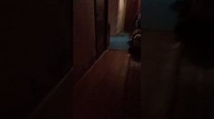 у нас дома призраки