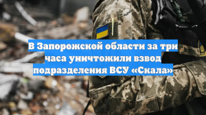 В Запорожской области за три часа уничтожили взвод подразделения ВСУ «Скала»