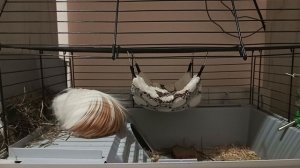 Секрет моего хорошего настроения