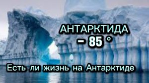 ЖИЗНЬ НА АНТАРКТИДЕ. ЖИВОТНЫЕ АНТАРКТИДЫ.