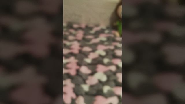 1000039526.mp4 смотреть онлайн