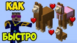 КАК НАЙТИ ПРИРУЧИТЬ ЛАМУ в Майнкрафте (2026) БЫСТРО