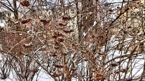 Свежий воздух с лёгким морозцем