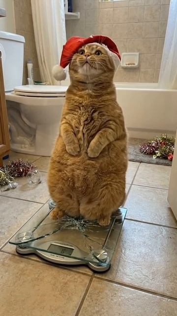 После новогодних праздников... смотреть онлайн