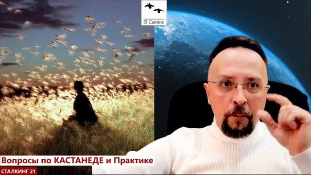 Как стать дурачком НА ПУТИ ЗНАНИЯ