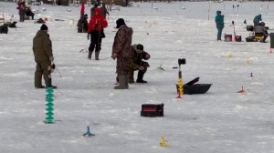 Поимка на поставушку