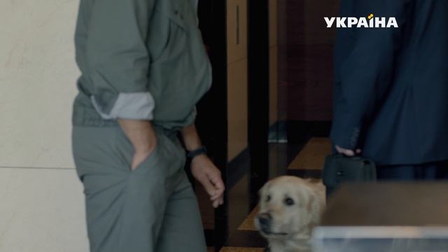 Новый сотрудник взял в помощники дежурства свою собаку золотистого ретривера Рикки. смотреть онлайн