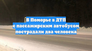 В Поморье в ДТП с пассажирским автобусом пострадали два человека