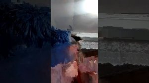 делаем из lego аксолотля